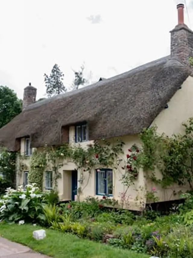 Toiture en chaume